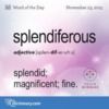 splendiferousze